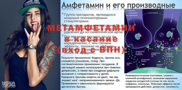 шишки Майский